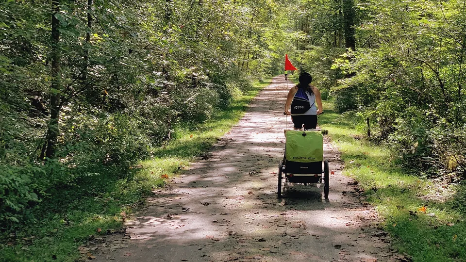 Fahrradanhänger mit Wimpel auf einem Waldweg